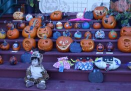halloween-carnival