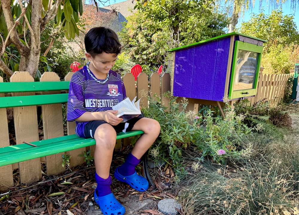 Seattle Little Free Libraries and Pantries