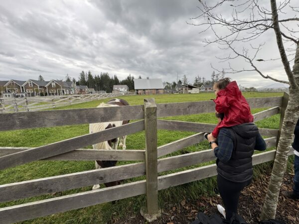 Toddler sitting on a parent’s shoulders watching horses in Seabrook’s Farm District on a misty fall afternoon.