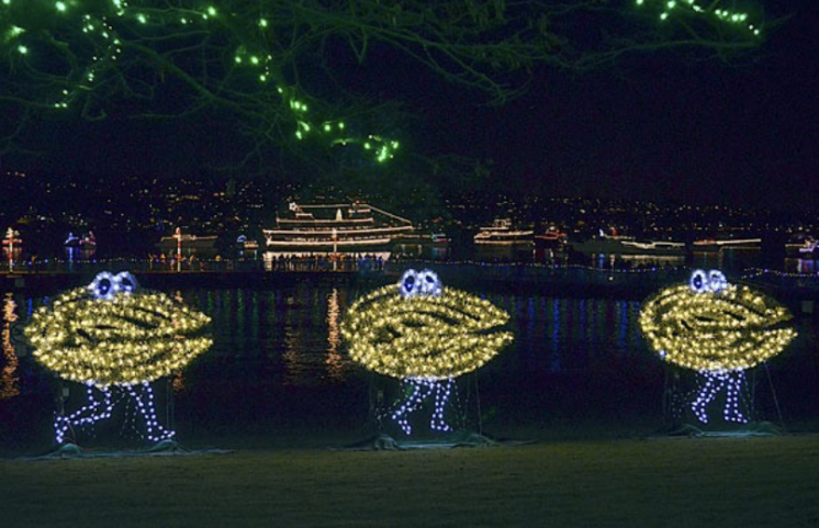 Clam lights Renton