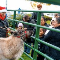 Holiday Hooves (Photo courtesy: Port of Everett).