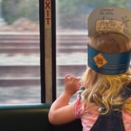 Amtrak Coast Starlight Family Trip Review