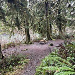 Washington campground closures 2026