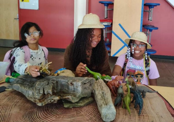 Washington Political News for Families charter