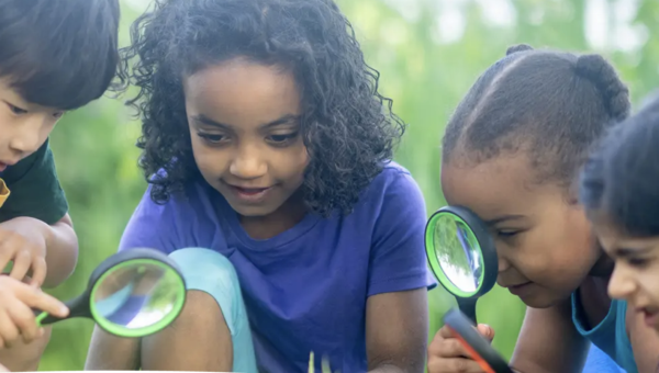 Washington Political News for Families: Key updates this week summer