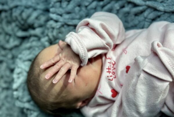 Washington Political News for Families birth rate