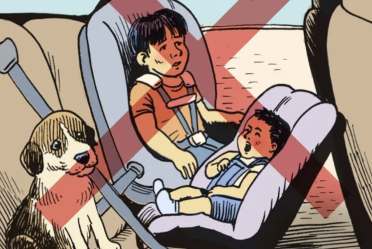 Seattle summer heat safety