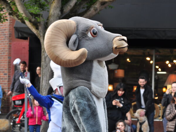 Washington Political News for Families RAMS