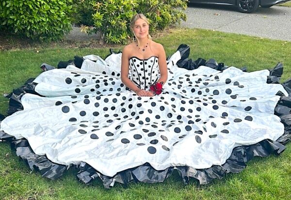 Washington Political News for Families dress