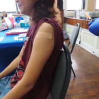 measles cases 2026
