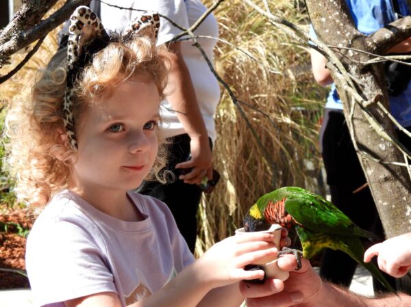 Lorikeet Landing Woodland Park Zoo keep very still