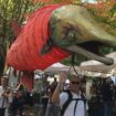 Issaquah Salmon Days 2026